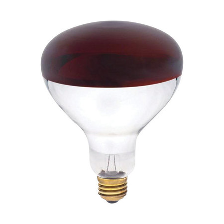 WESTINGHOUSE Bulb-250W R-40 Red Heat 03917